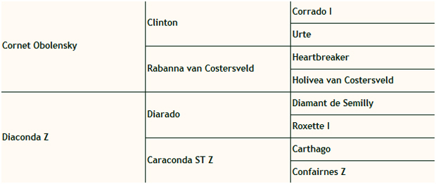 stamboom-Condios-CC-Z